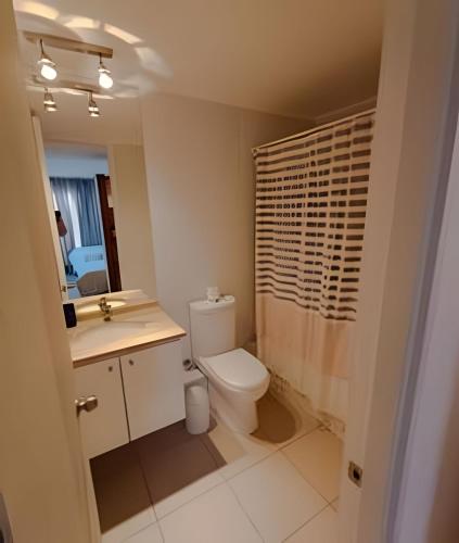 a bathroom with a toilet and a sink and a shower at Condominio en el Centro de Calama in Calama