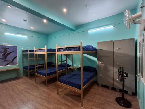 three bunk beds in a room with blue walls at Backpackers Homestay In The Valley in Dehradun
