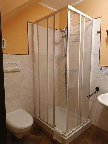 a bathroom with a shower with a toilet and a sink at B&B Abies in Polizzi Generosa