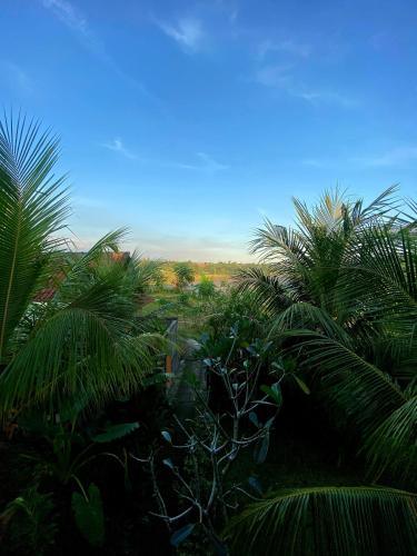 Landskap semula jadi dekat dengan homestay