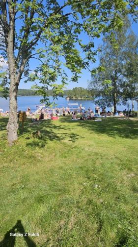 a group of people sitting on the grass near the water at Stuga Ani in Svartå