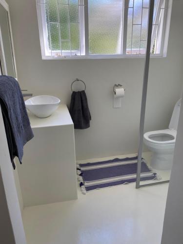 une salle de bain avec un lavabo et des toilettes dans l'établissement Garden cottage, à Plettenberg Bay
