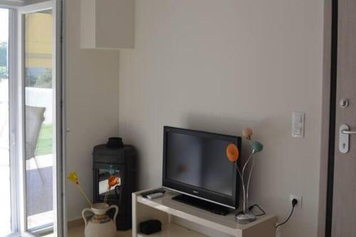 Palm garden apartment