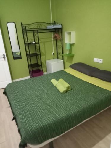 a green bedroom with a bed with a green blanket at Colors Rooms in Valencia