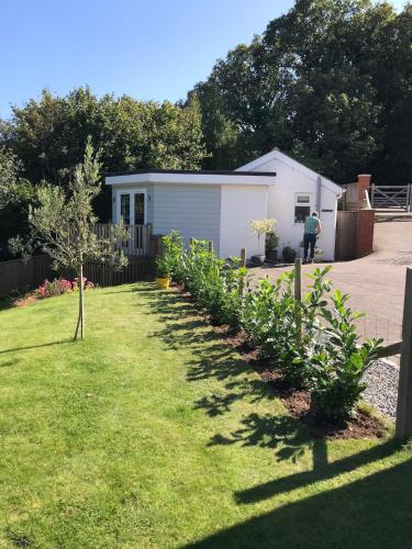 a garden with a white shed and a row of plants at The Hutch Devon in Longdown