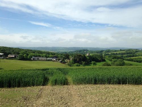 a field of green grass with houses in the distance at The Hutch Devon in Longdown