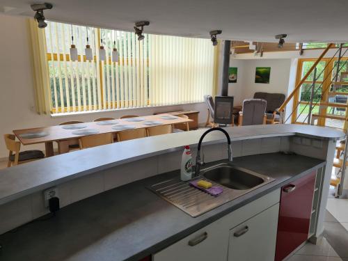 a kitchen with a sink and a counter top at U Lojzika in Pulkov