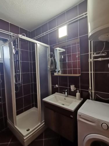 Gallery image of Apartman Pače in Raška
