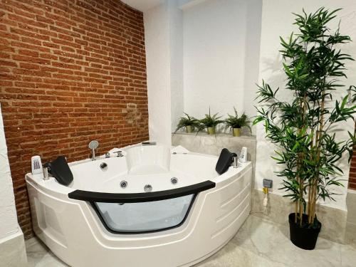 Ave María Five bedrooms Seasonal Living