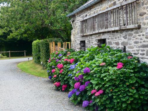 Κήπος έξω από το Gîte de la Cour