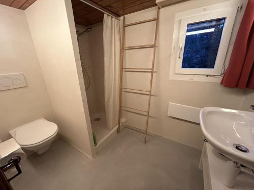 a bathroom with a toilet and a sink and a window at Apartment Alpenchalet Haldeli by Interhome in Gstaad
