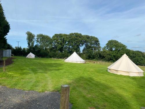 Příroda nedaleko luxury tent