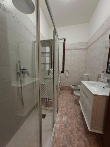a bathroom with a shower and a sink and a toilet at Portico sul lago in Oliveto Lario