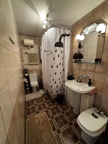 a bathroom with a shower and a sink and a toilet at Stylish 4BR Artist's Home with Garden- Gdańsk Green District by AVALON ATELIER in Gdańsk