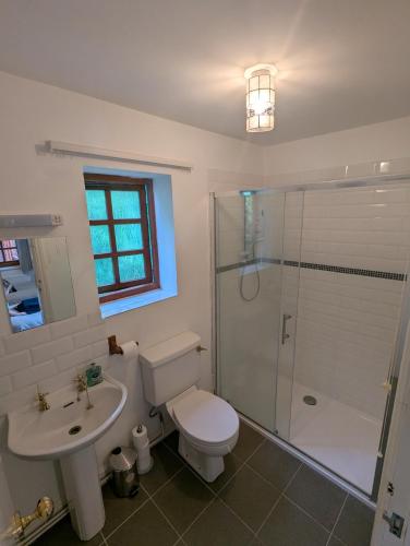 a bathroom with a toilet and a sink and a shower at Breidden Annexe in Four Crosses