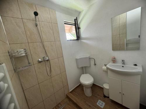 a bathroom with a shower and a toilet and a sink at Casutele Ariesene in Arieşeni