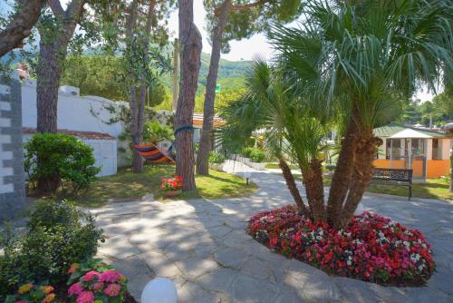 a palm tree in a flower garden with a palm tree at Ischia Dream Sunset in Ischia