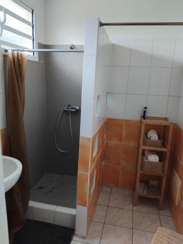 ル・カルベにあるCarbet Horizonのシャワーと洗面台付きのバスルーム