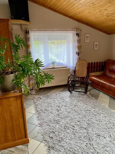 a living room with a couch and a rug at Damentka's Nest in Warsaw