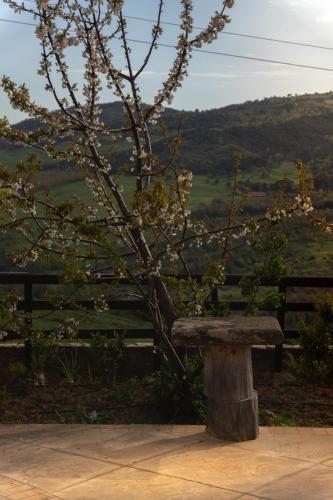 a bench sitting next to a tree with flowers at MonteSoprano Agriturismo - Resort - Spa - Gym -Camping - Suite in Capizzi