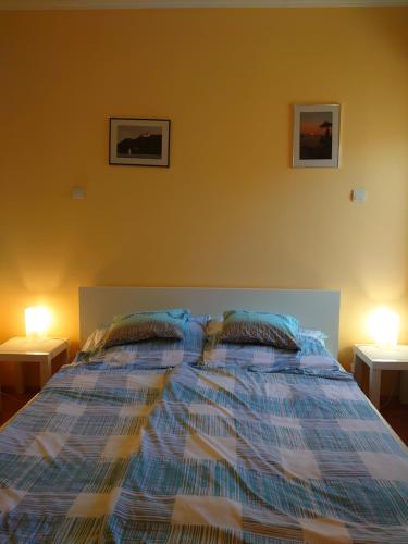 Una cama con dos almohadas encima en un dormitorio. en Coke Wellness Apartman, en Siófok