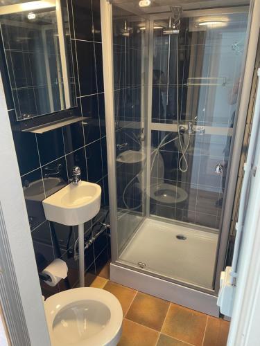 a bathroom with a shower and a toilet and a sink at Bo på husbåt med egen badplats in Gamleby