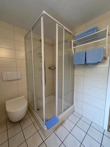 a shower in a bathroom with a toilet and towels at Zum Hochufer in Lohme