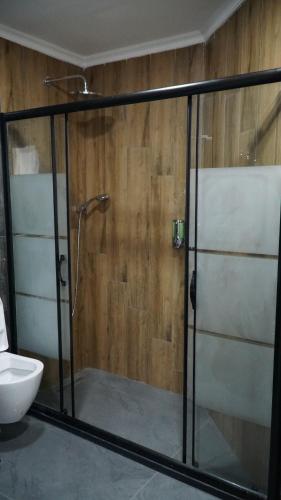 a shower with a glass door in a bathroom at Dual Hotel Spa in Istanbul