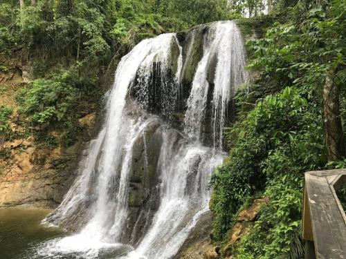 a waterfall in the middle of a jungle at Peaceful Beach Studio in the Heart of Puntas in Rincon