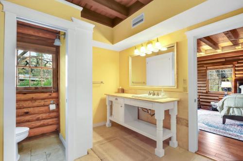 a bathroom with a sink and a mirror at Mill Lodge in Wimberley
