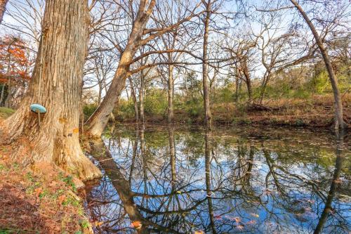 a body of water with a tree in a forest at Mill Lodge in Wimberley