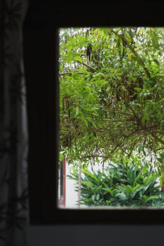 a window view of a tree with green leaves at Hotel Fazenda Portal de Gravatá in Gravatá