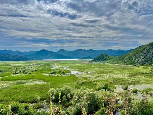 Naturlandskabet i nærheden af lejligheden