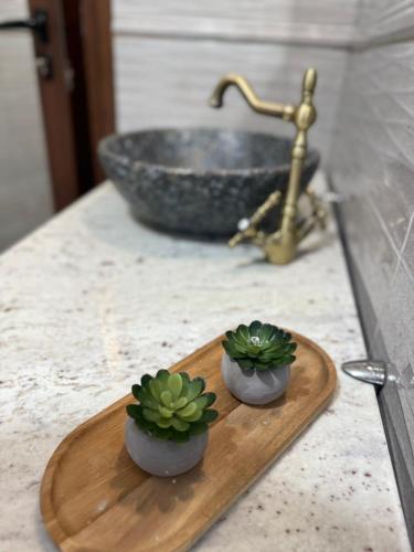 two succulents on a wooden cutting board next to a sink at Вила Рафаела-Мартина in Dobrinishte
