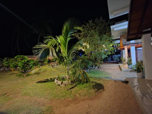 a palm tree in the middle of a yard at night at The Dream Inn Guesthouse Passikudah in Batticaloa