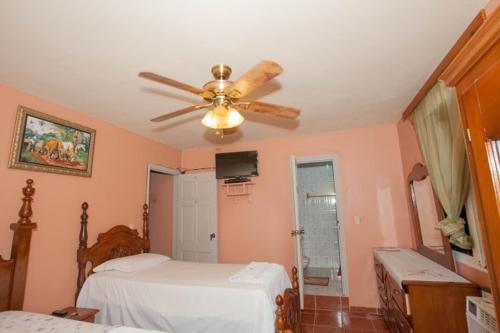 a bedroom with a ceiling fan and a bed at La Belle Maison Milot in Samson