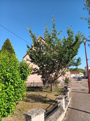 un arbre devant une maison dans une rue dans l'établissement Entre sarre et albe chez stelvia, à Sarralbe