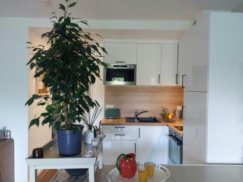 Η κουζίνα ή μικρή κουζίνα στο Studio Golf de Chiberta-3 by Interhome