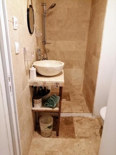 une salle de bain avec un lavabo et une douche dans l'établissement Chez Nathalie et flavien, à Meuilley