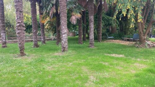 a park with palm trees and a bench in the grass at Appartement avec terrasse dans un parc privé in Bégard