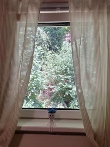 a window with a vase on a window sill with curtains at Haus Hoogendam in Leoben