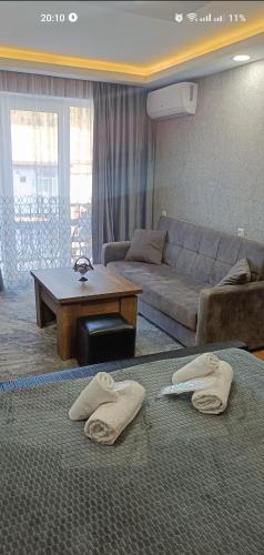 un salon avec un canapé et une table dans l'établissement Borjomi Likani Apartment, à Bordjomi
