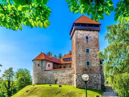 a castle on top of a hill with a street light at Chalet Jela by Interhome in Karlovac