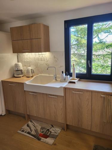 Chalet de montagne familial في Montferrier: مطبخ مع حوض ونافذة
