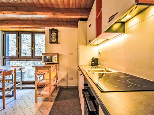 Dapur atau dapur kecil di Apartment Ai Tini by Interhome