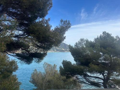 a view of a body of water from between trees at Villaggio Smeraldo in Moneglia