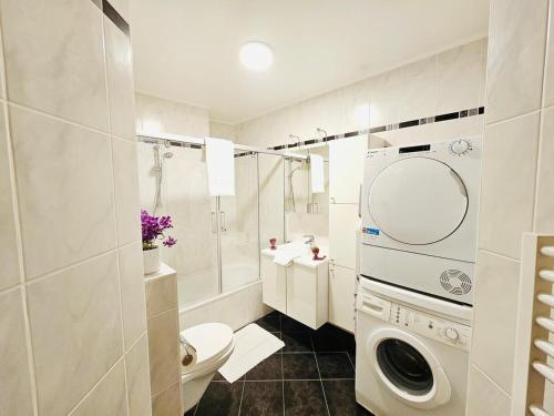 ein Badezimmer mit Toilette und Waschmaschine in der Unterkunft City Escape - Cozy 1BR Flat with terrace&parking in Luxemburg (Stadt)