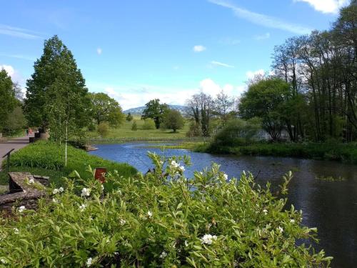 a river in a park with flowers in the foreground at 1 bed in Llansteffan 74267 in Ferryside
