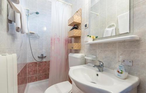 a bathroom with a toilet and a sink and a shower at Apartments and Rooms Laura in Pazin