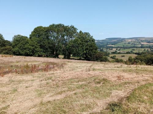 a field of grass with trees in the distance at 1 bed property in Brynteg 81354 in Llanwenog